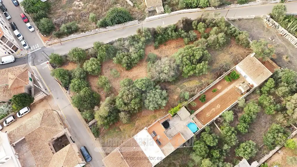 Terreny rústic en venda a Santanyí Poble, imagen 5