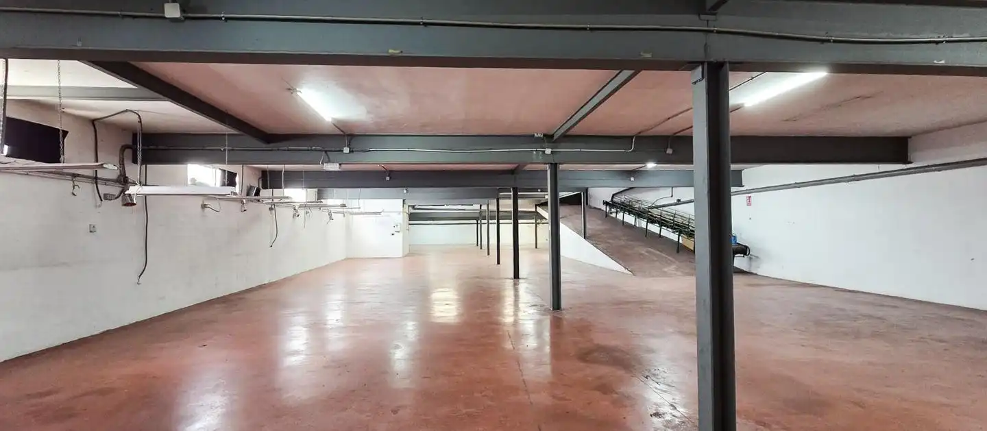 Nave industrial de alquiler en Elche / Elx