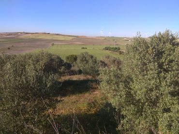 Terreno rustico in vendita a Carretera del Marquesado