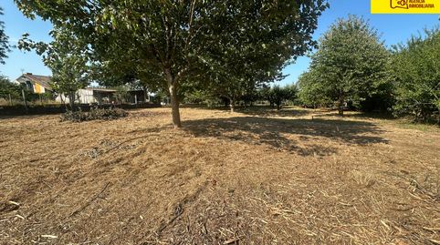 Terreno en venta en Concello de Vedra, imatge 4