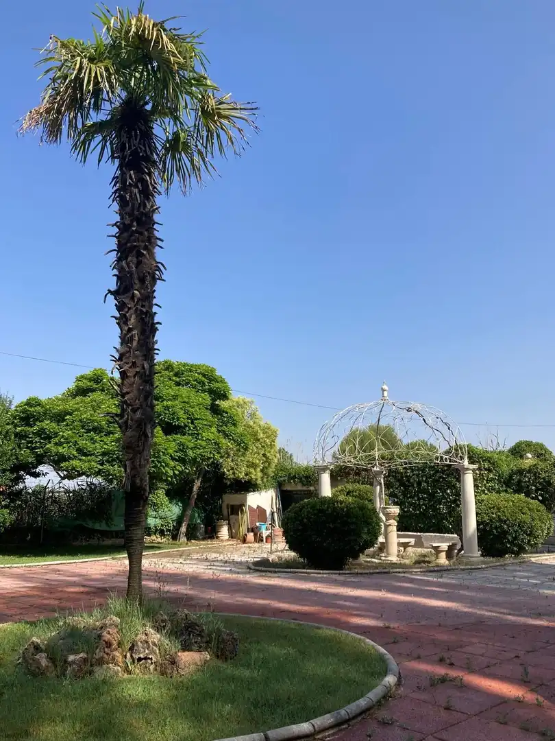 Jardín de Casa o chalet en venta en Aranjuez con Jardín privado y Piscina