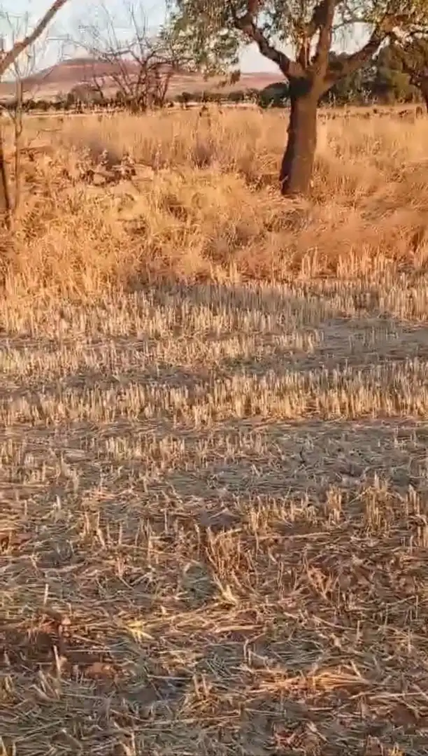 Casa rústica en venda a Almagro, imagen 8