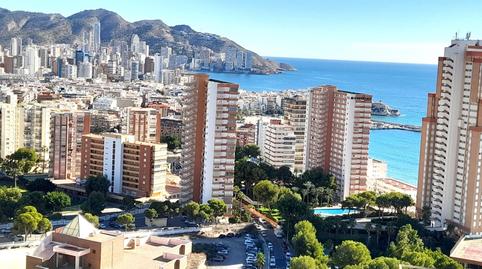 Foto 4 de Piso en venta en Playa Poniente, Benidorm