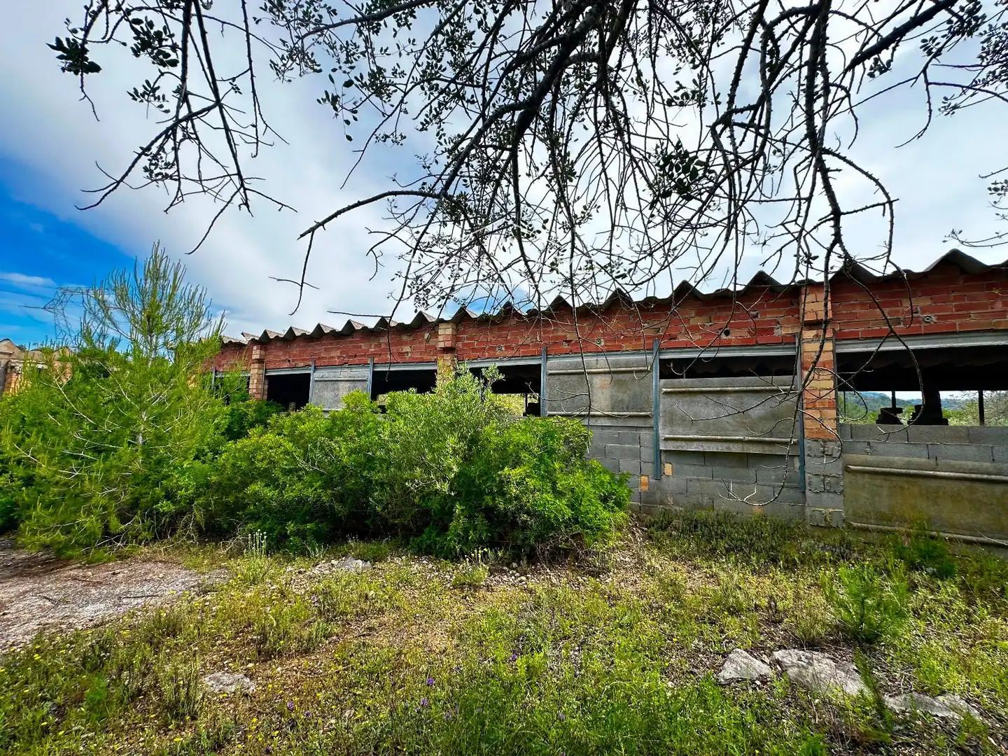 Terreno rústico en venta en Tivissa, imagen 42