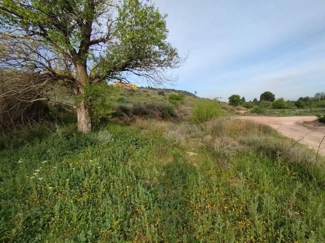 Finca rústica en Venta en la serra en Puigverd de Lleida