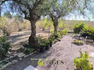 Finca rústica en venta en El Milà