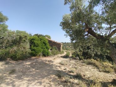 Terreno rustico in vendita a Calaceite