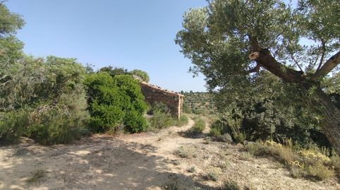 Finca rústica con maset en Calaceite