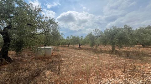 Photo 2 of Country homes for sale in Freginals, Tarragona