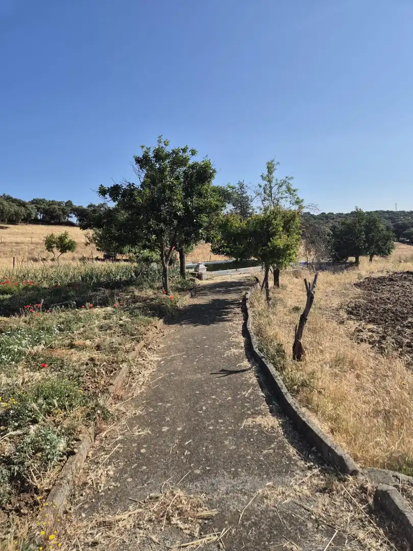 Finca rústica en venda a Fregenal de la Sierra