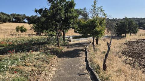 Foto 4 de Finca rústica en venda a Fregenal de la Sierra, Badajoz