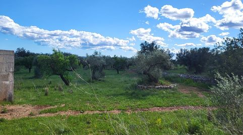 Finca Rúst. en venta en Roquetes., imagen 5