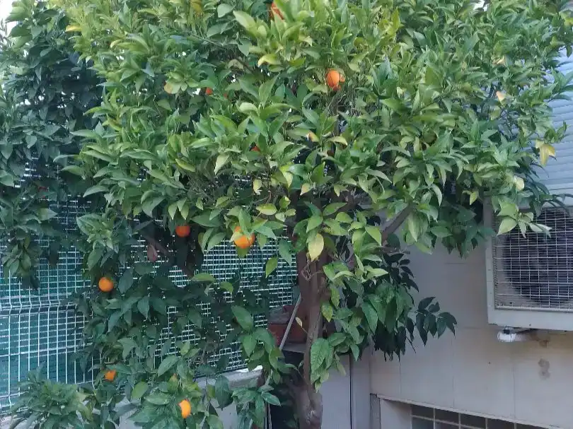 Jardí de Pis en venda en Utebo amb Aire condicionat, Piscina i Balcó