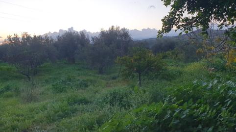 Foto 5 de Finca rústica en venda a Corrales, Álora, Málaga