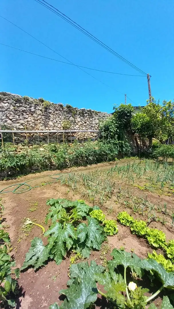 Garden of Houses for sale in Santillana del Mar  with Private garden, Storage room and Balcony