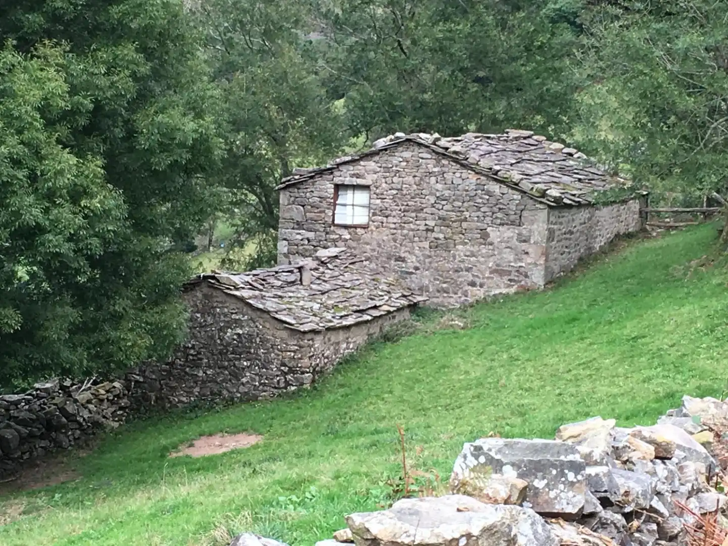 Vista exterior de Casa o chalet en venta en Vega de Pas