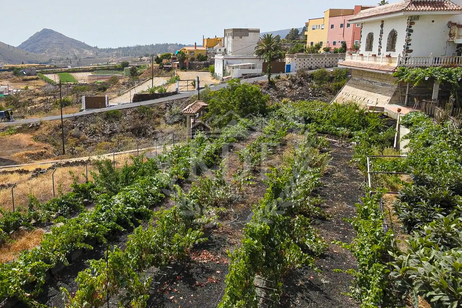 Finca rústica en venda a Calle el Barbecho, Vilaflor de Chasna