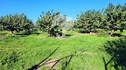 Photo 4 of Land for sale in Los Tablones - La Garnatilla, Granada