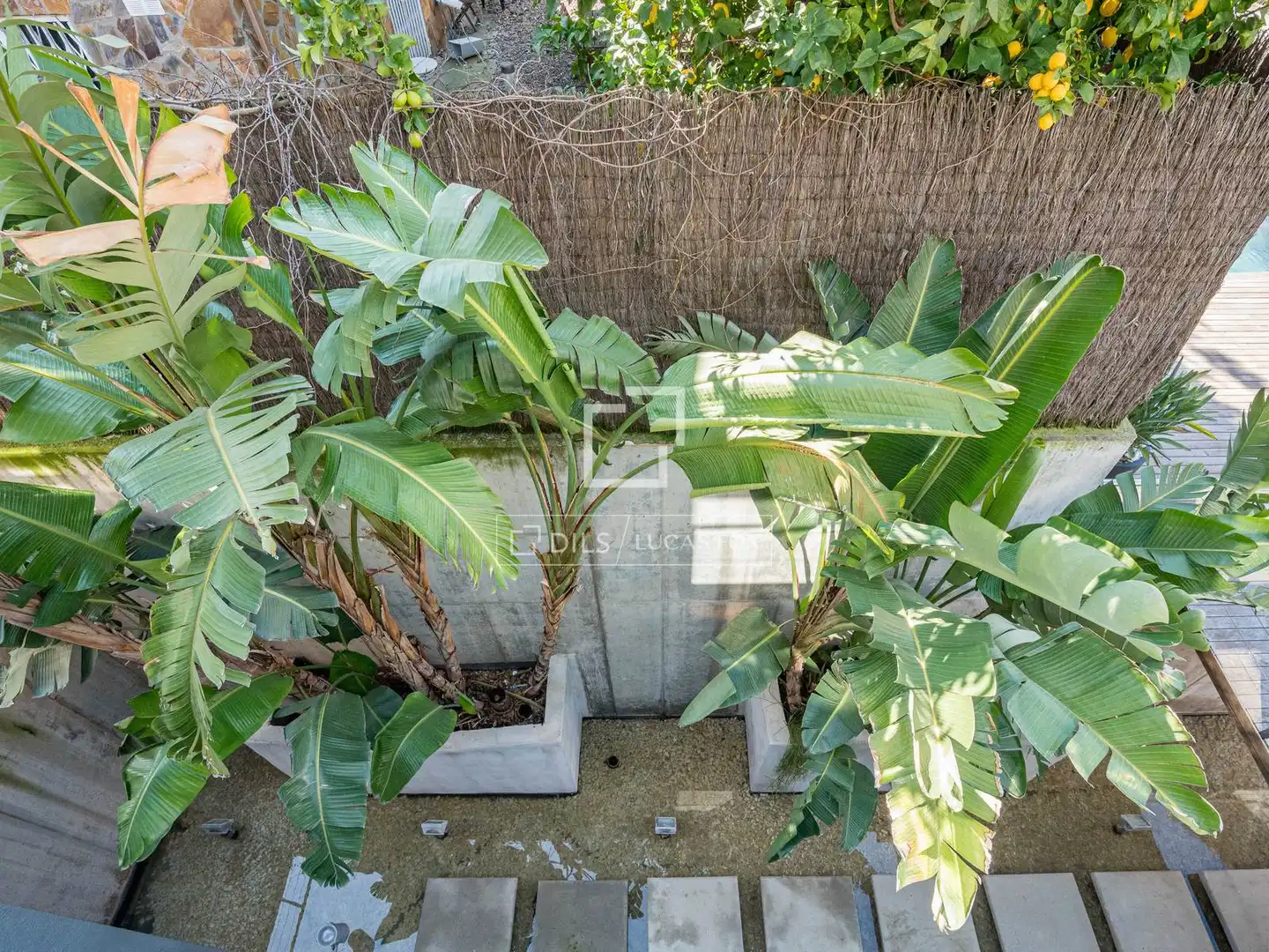 Jardí de Casa o xalet en venda en Sant Cugat del Vallès amb Aire condicionat, Calefacció i Terrassa