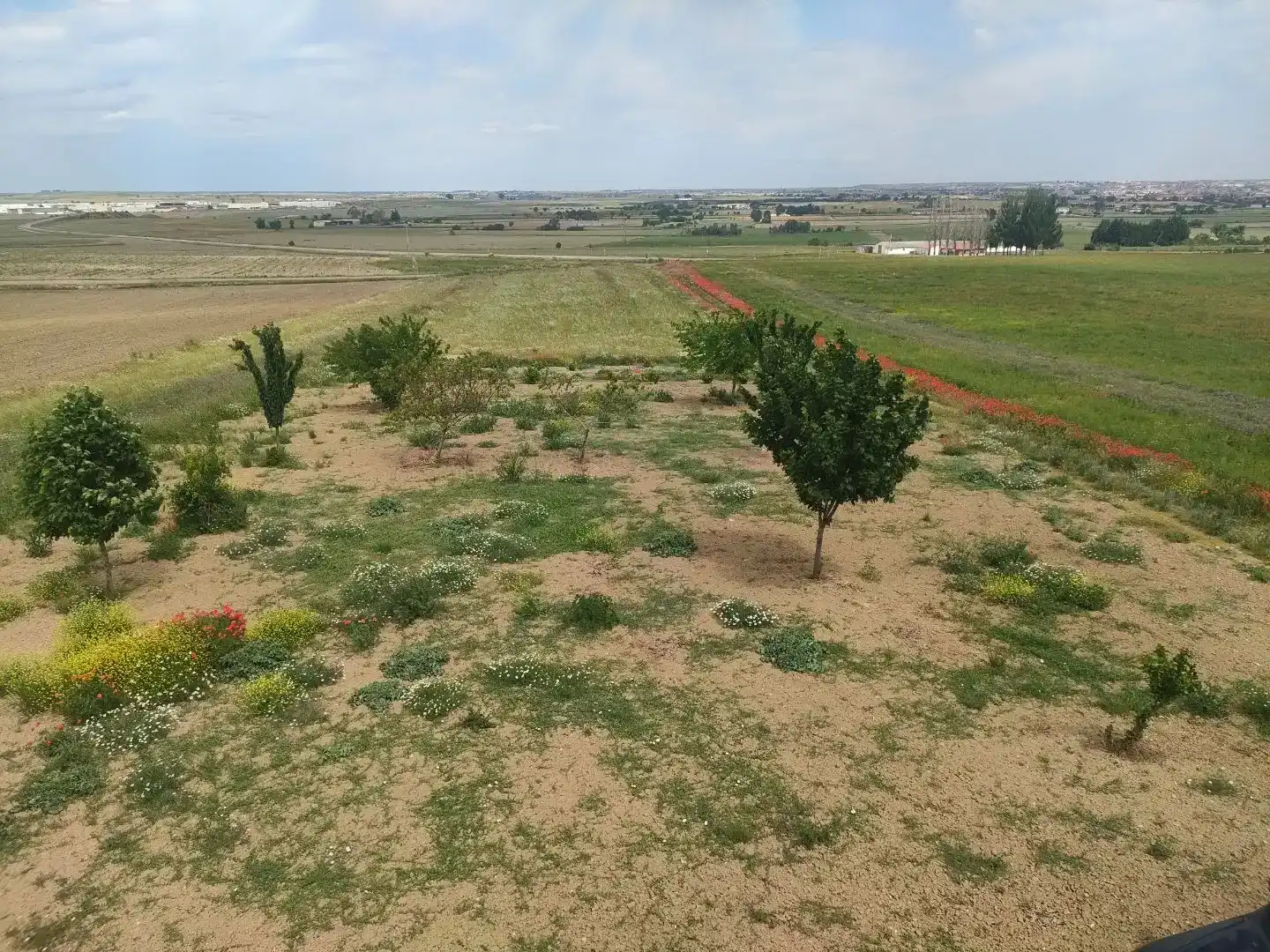 Finca rústica en venda en Morales del Vino amb Jardí privat i Balcó
