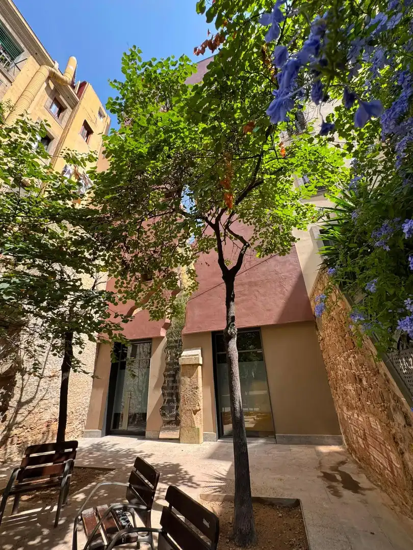 Piso con terraza en venta en Ciutat Vella, imagen 25