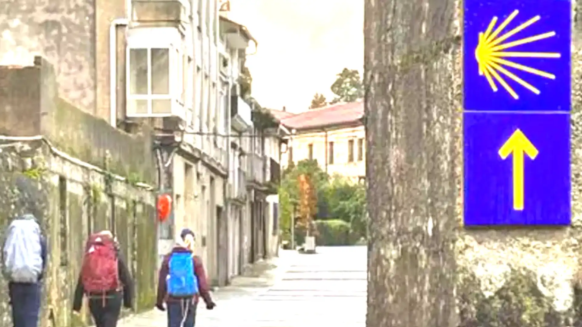 Exterior view of Flat for sale in Tui  with Furnished