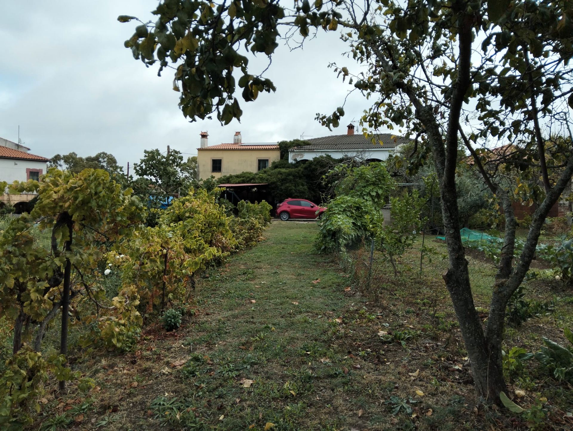 Casa o xalet en venda en Cáceres Capital amb Aire condicionat, Jardí privat i Piscina