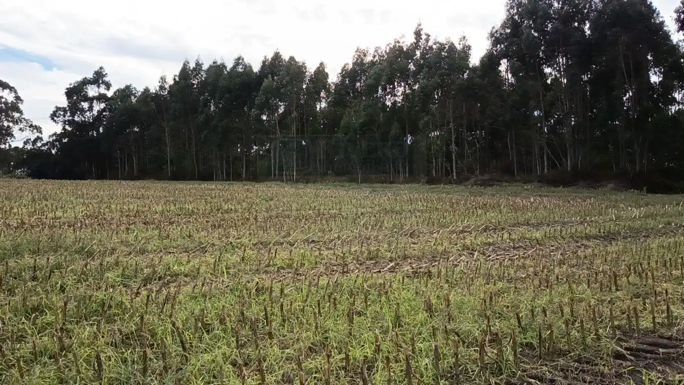 Terreno rústico en venta en Aldea Cabañas, imagen 23