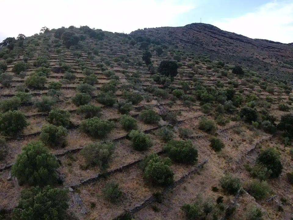 Lands and plots for sale in Territorio Surés, imagen 6