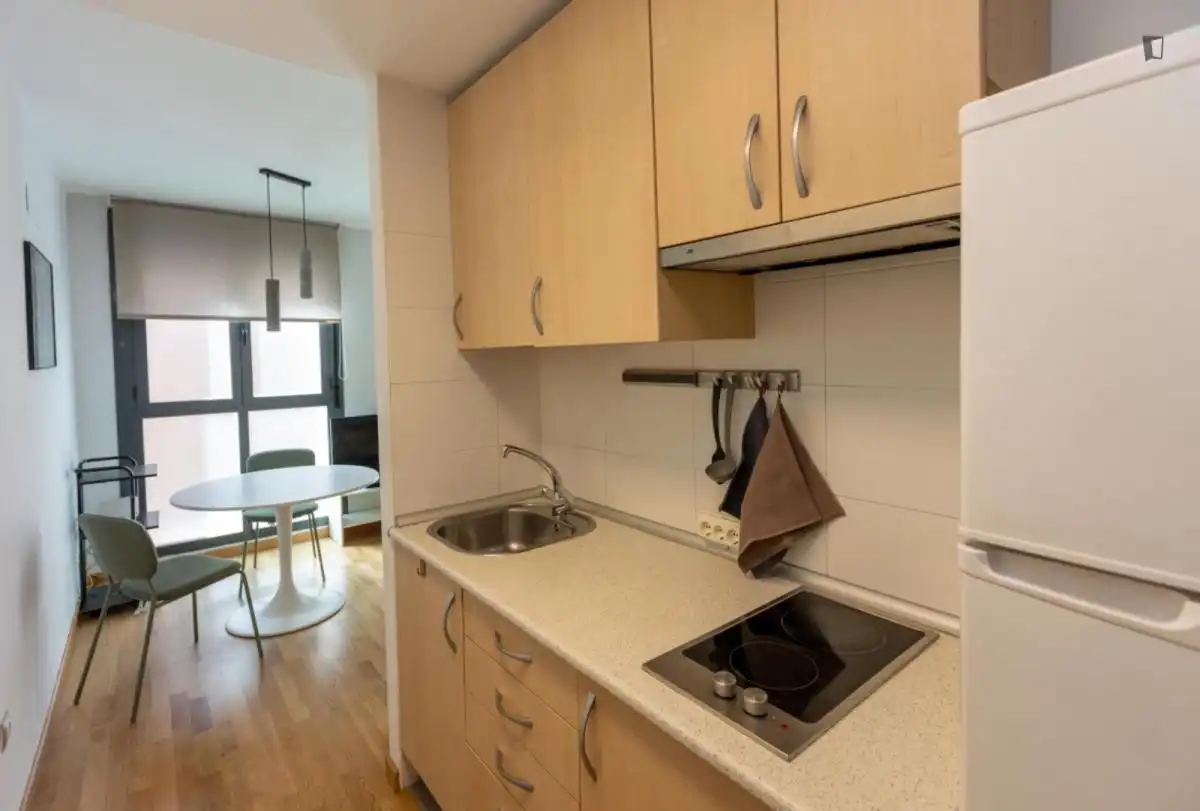 Wohnung zur Miete in Madrid, Madrid