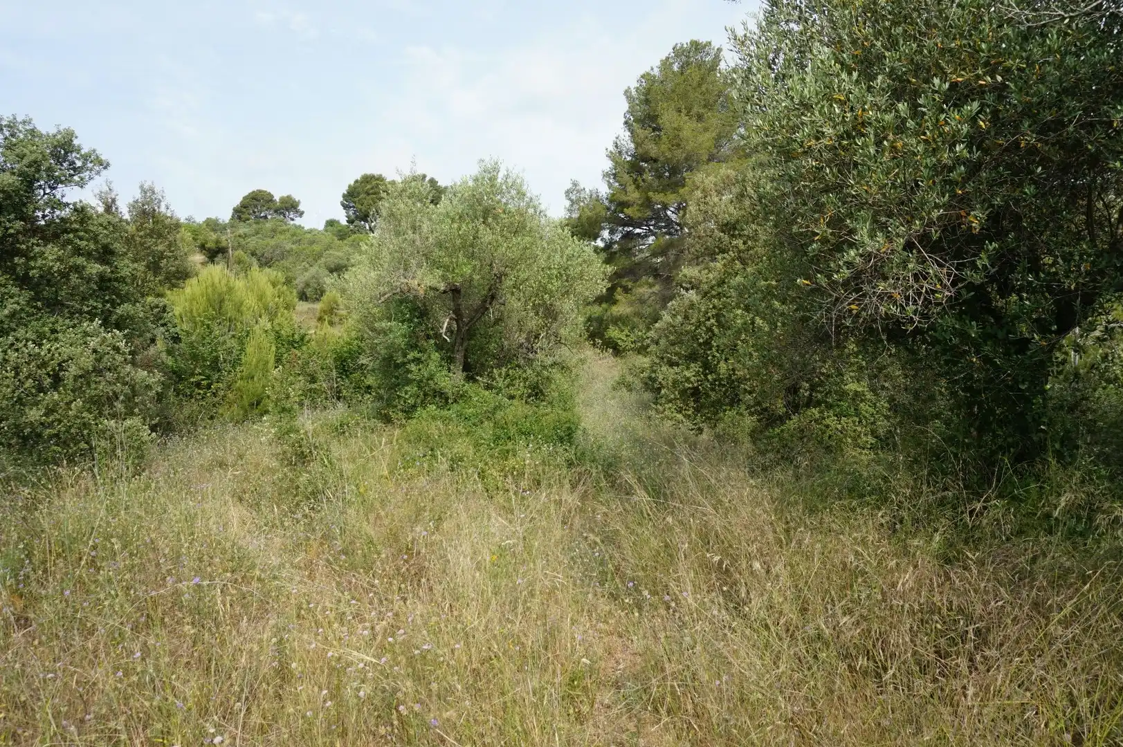 Maison rustique à vendre à Les Borges del Camp, imagen 17