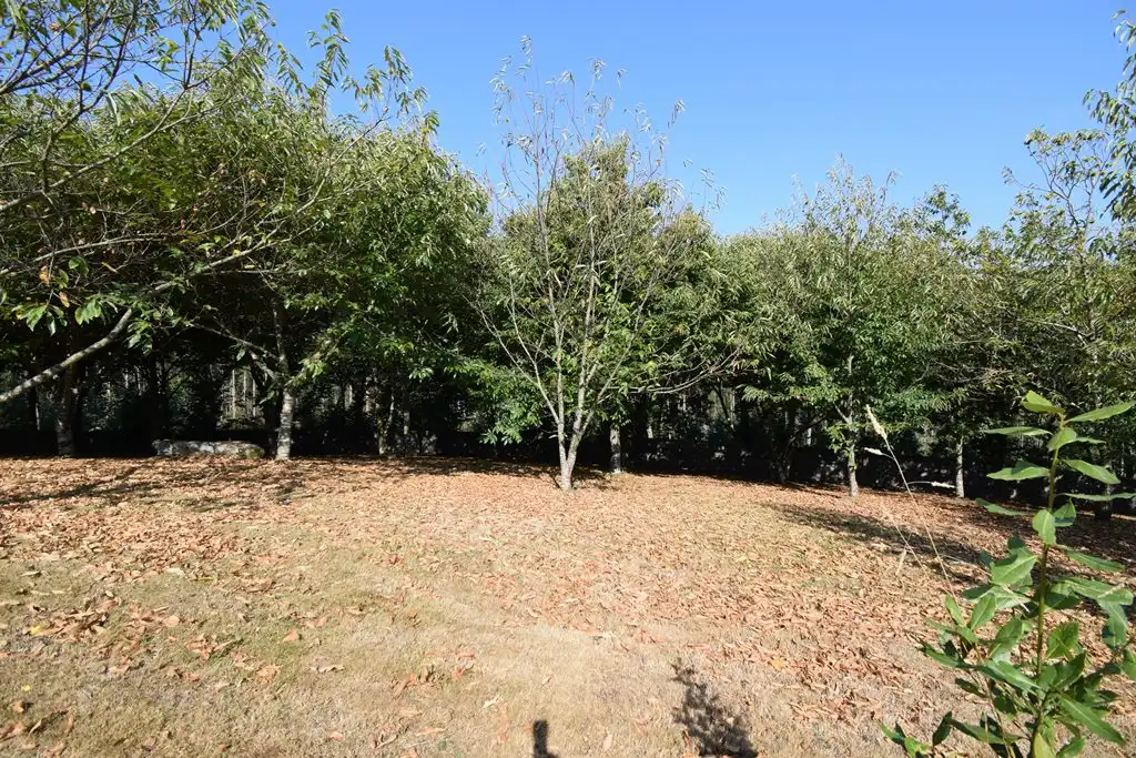 Casa o xalet en venda en Pontedeume amb Calefacció, Jardí privat i Moblat