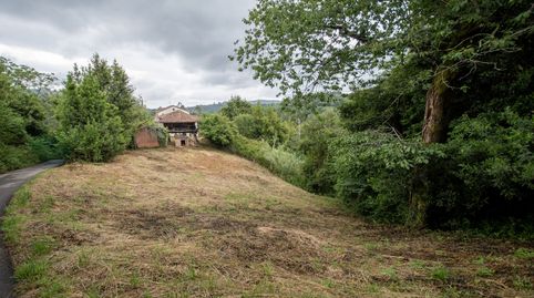 Casa para rehabilitar con cuadra, hórreo  y finca edificable en La MadalenaVillaviciosa, imatge 5