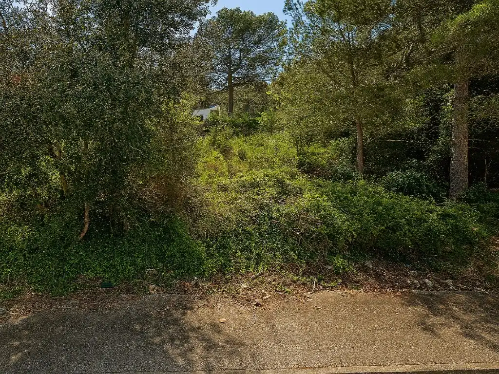 Residential land for sale in Calle Tulipa (Plana Torres), imagen 5