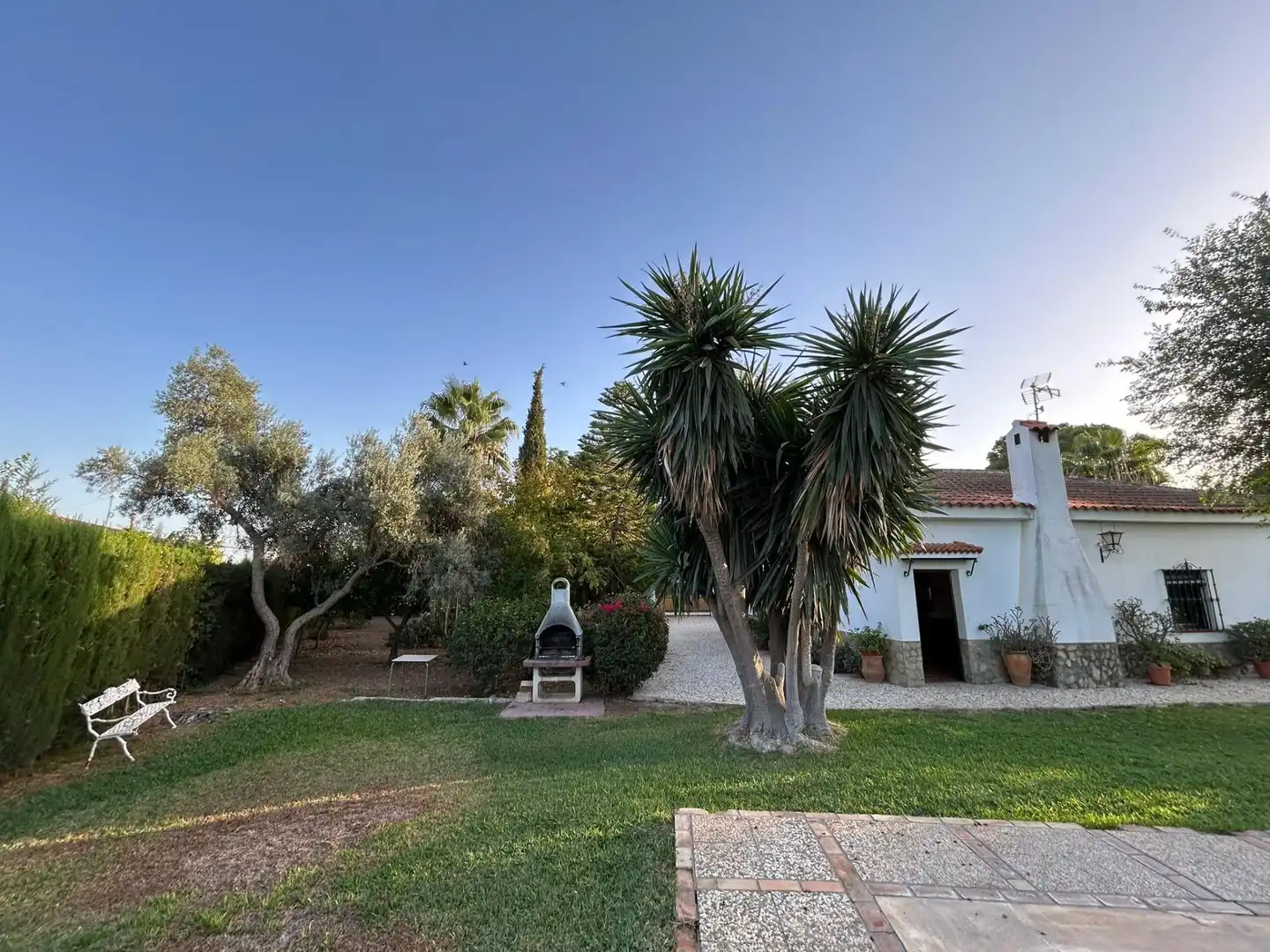 Jardín de Casa o chalet en venta en Carmona con Aire acondicionado, Terraza y Piscina