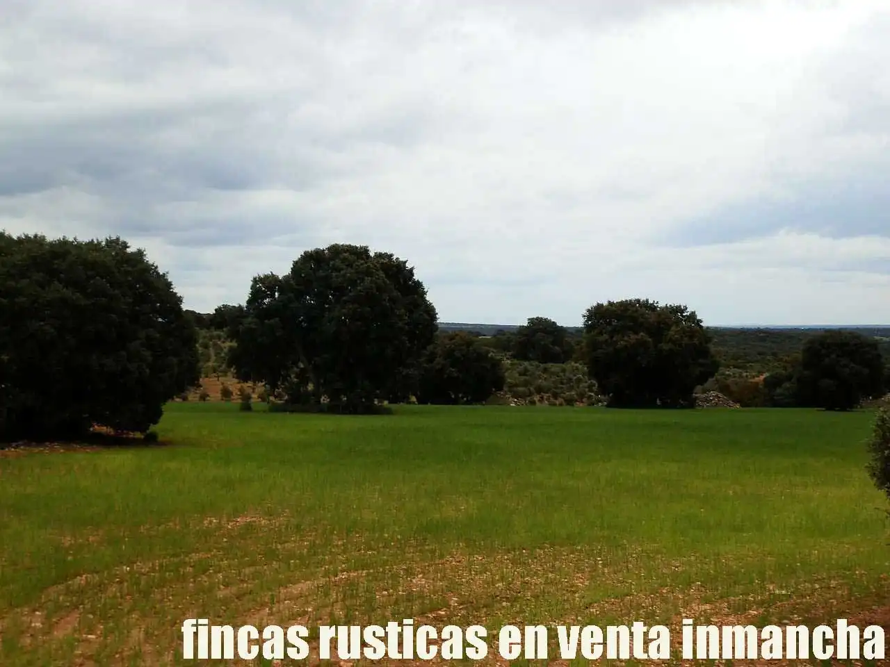 Terreno rustico in vendita a Ruidera, imagen 10