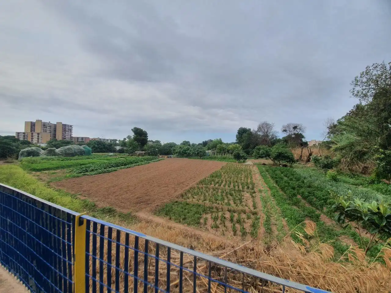 Terrenys i solars en venda a Carrer C