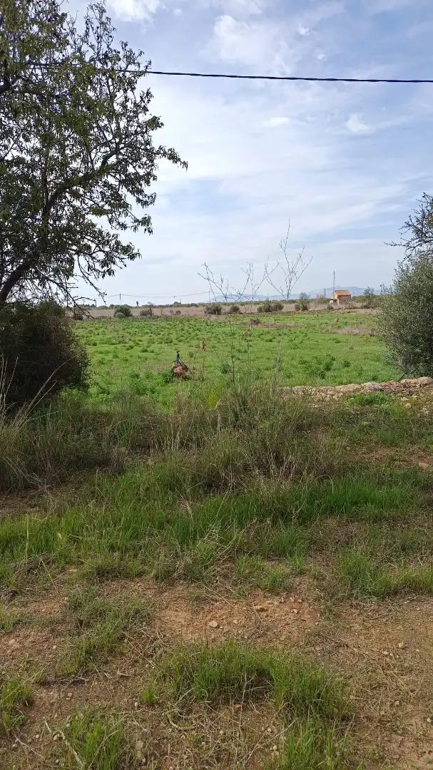 Rural land for sale in Alcossebre