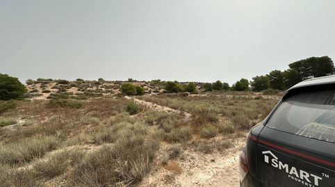 Parcela agraria de 3.476 mÂ en una excelente ubicaciÃn en La Marina, ElchePresentamos esta magnÃfica parcela agraria de 3.476 mÂ,, imatge 2