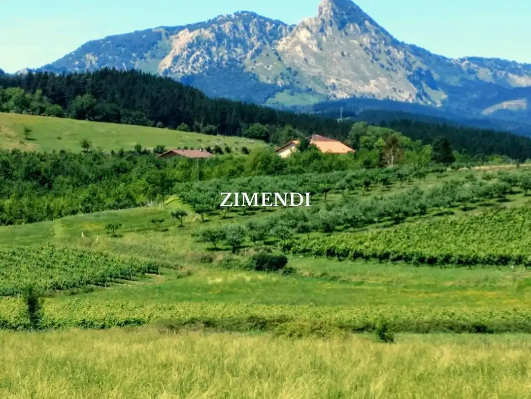 Terreno rustico in vendita a Abadiño, imagen 6