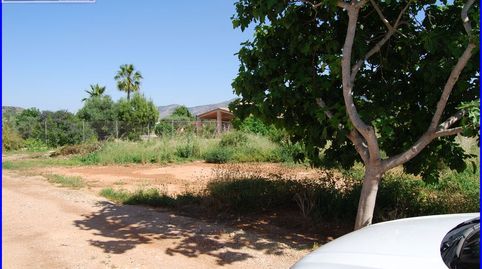 ¡Haz realidad tus sueños de campo con esta parcela rústica en Fortuna! ????, immagine 4
