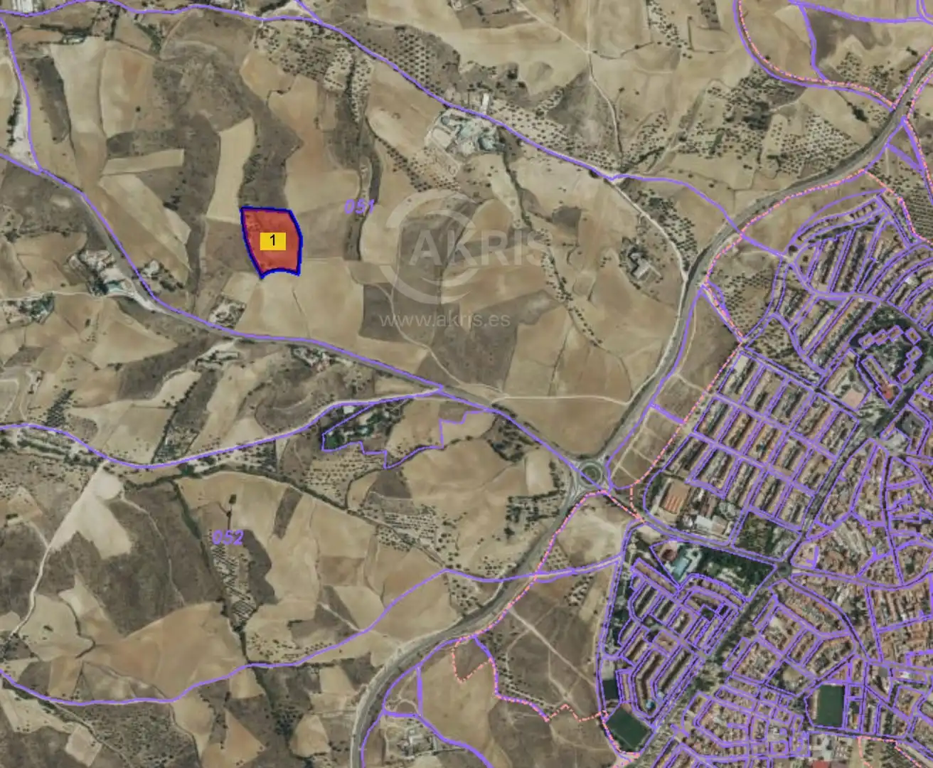 Terreno rustico in vendita a Pozos Viejos, imagen 2