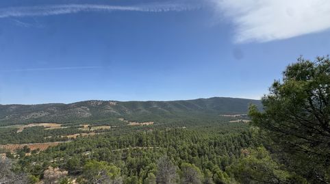 🌿 FINCA ÚNICA EN VENTA EN CEHEGÍN – NATURALEZA, PRODUCCIÓN Y FUTURO EN UNA SOLA PROPIEDAD 🌿, imatge 3
