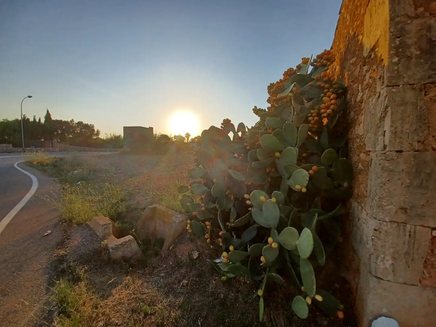 Vista exterior de Terreno en venta en Campos