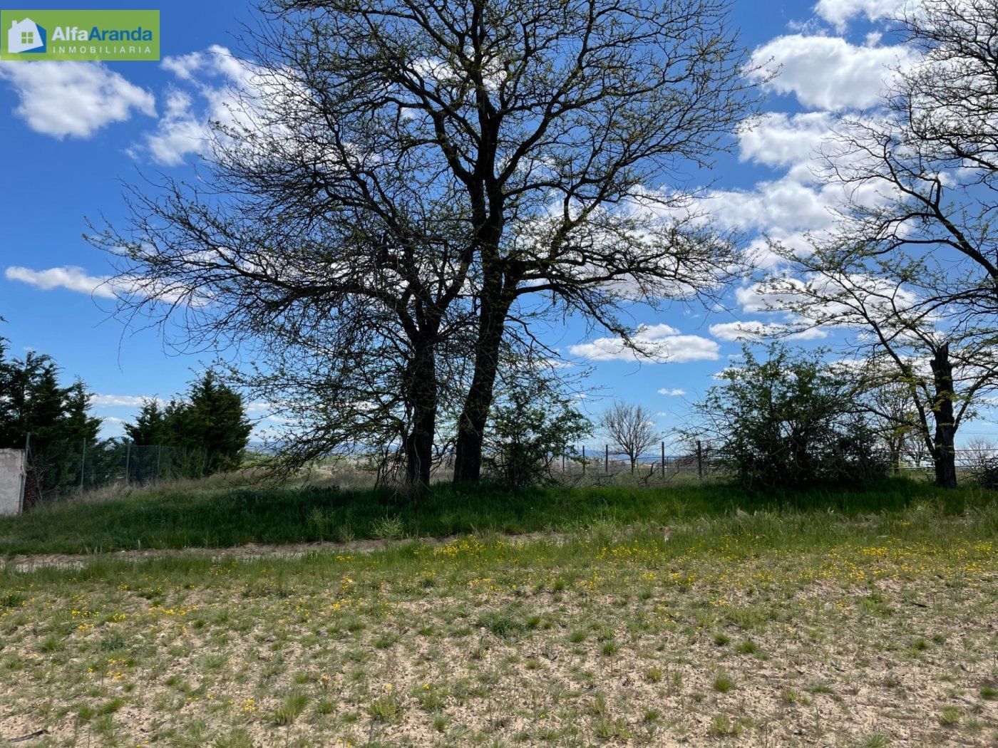 Finca rústica en venta en Aranda de Duero