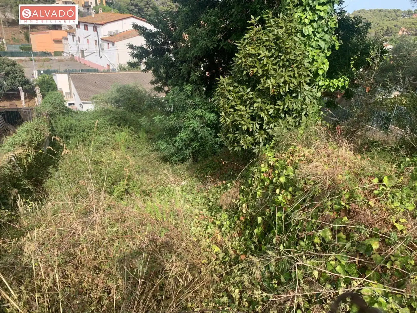 Terreny residencial en venda a Mas Trader - Corral d'En Tort - Corral d'En Cona