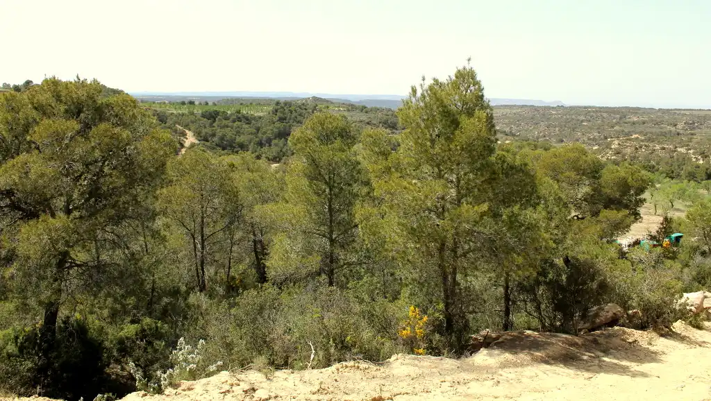 Finca rústica en venda en Maella