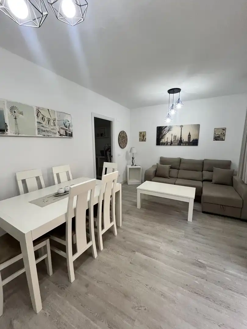Sala d'estar de Pis de lloguer en Plasencia amb Aire condicionat, Terrassa i Moblat