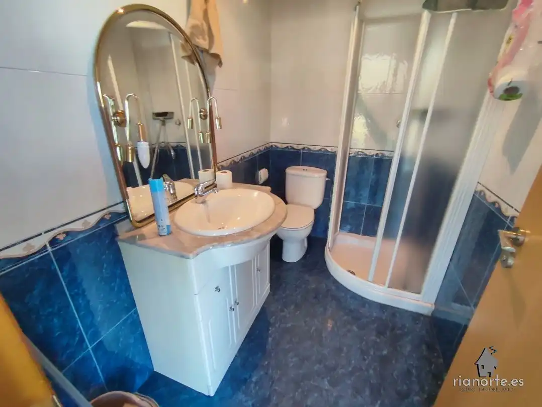 Bathroom of Industrial buildings for sale in Langreo