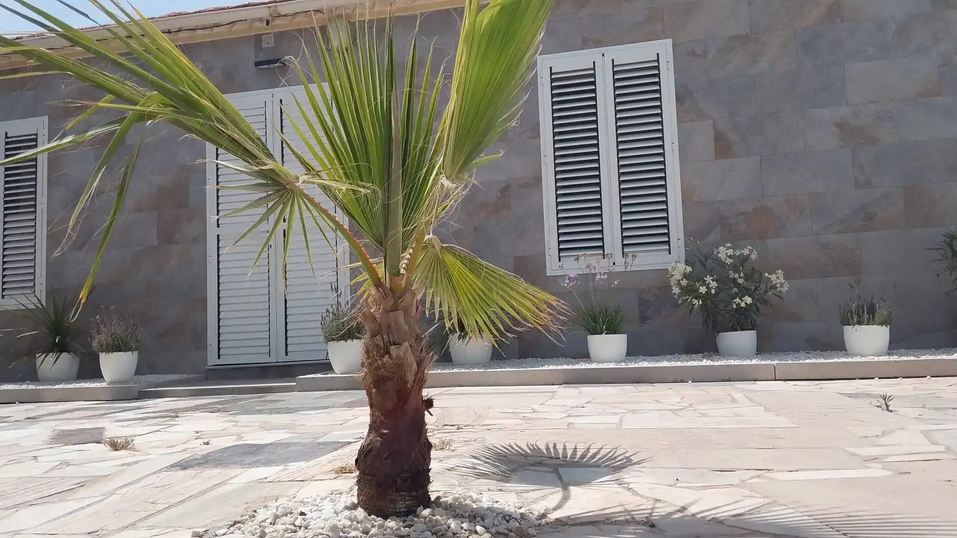 Terrassa de Casa o xalet en venda en San Javier amb Aire condicionat i Piscina